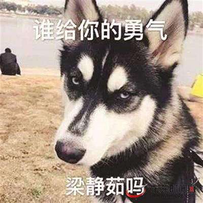 谁给你的勇气梁静茹吗