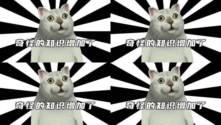 奇‌‌‌‌‌‌‌‌‌‌怪的知识增加了