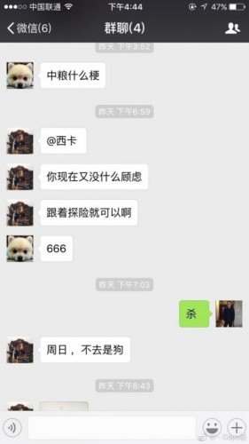 中粮探险不去是狗