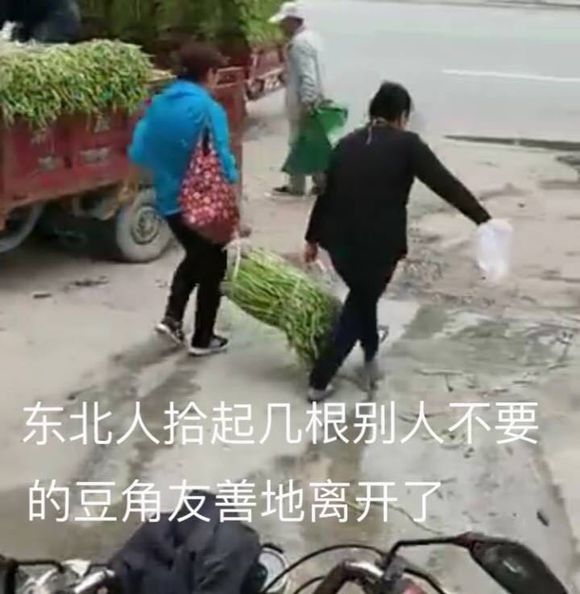 求求你摇了我8 东北版饶了我吧