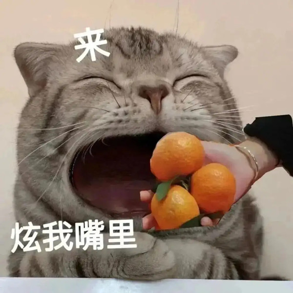 炫我嘴里 炫我嘴里猫猫表情包