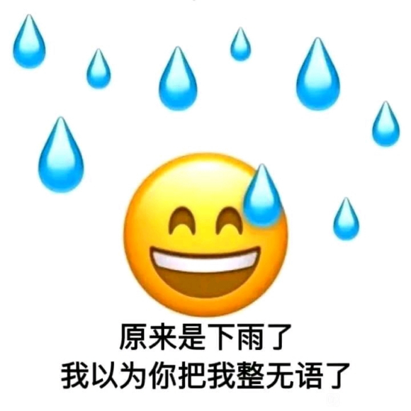 弹幕下雨了 原来你把我整无语了