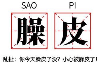 臊皮 孙笑川带火的四川话