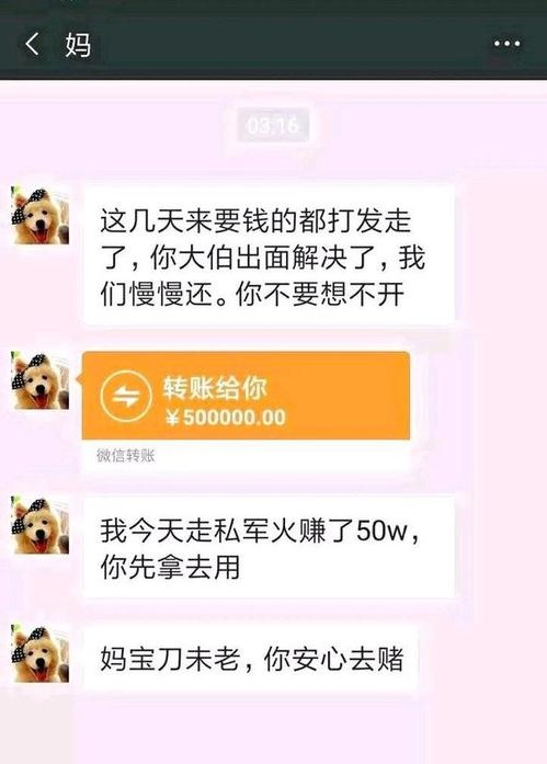 传菜赚了五十 后续男主自尽了?