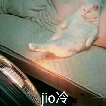 泡jio