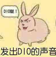 其实是我dio哒！