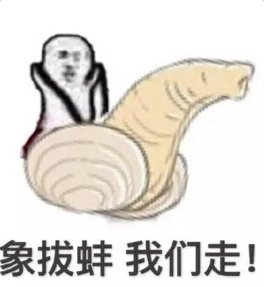 象拔蚌