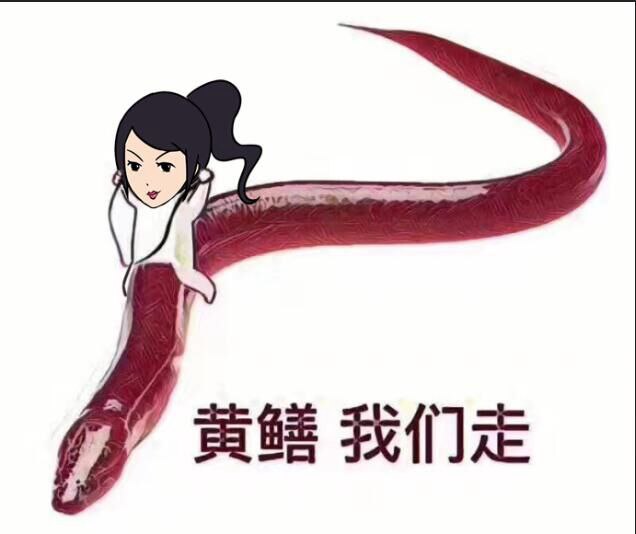 麻椒直播