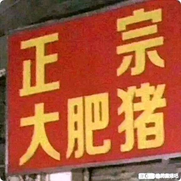 正宗大肥猪 源于正宗大肥猪招牌图片