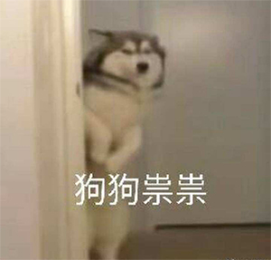 狗狗祟祟是什么意思