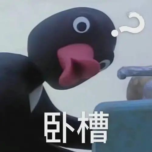 Noot Noot是什么梗？