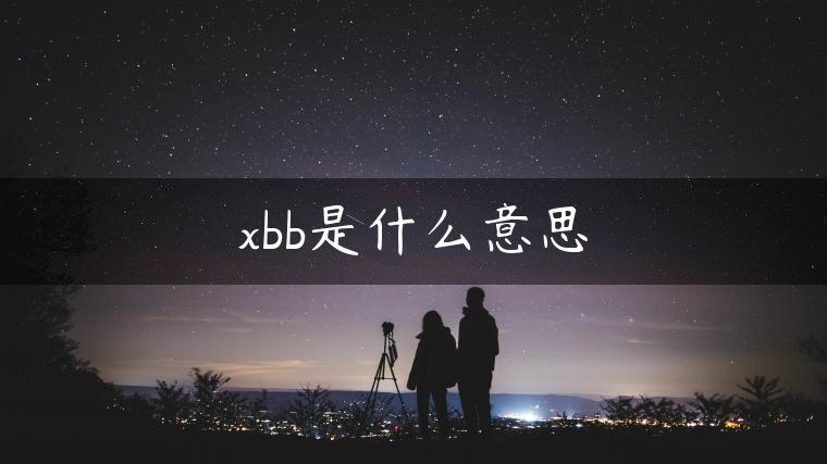 xbb是什么意思