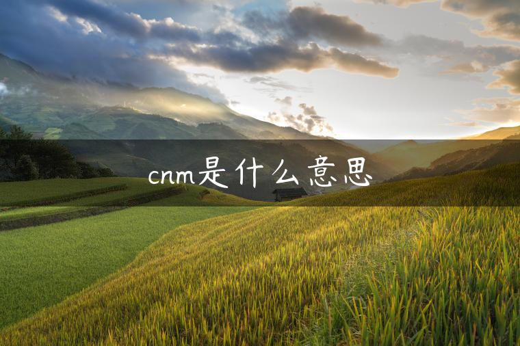 cnm是什么意思