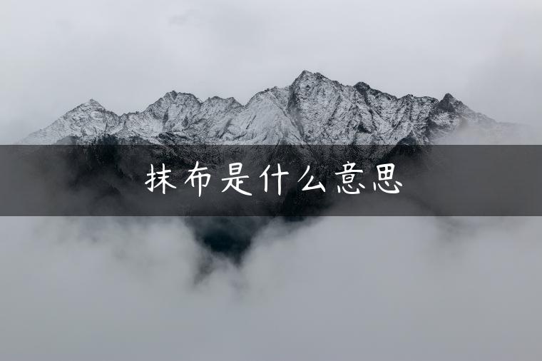 抹布是什么意思