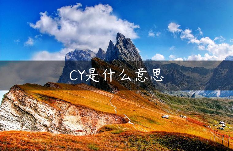 CY是什么意思