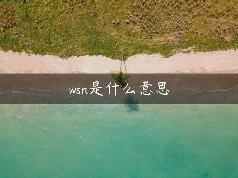 wsn是什么意思