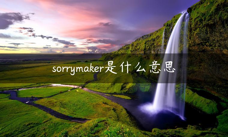 sorrymaker是什么意思