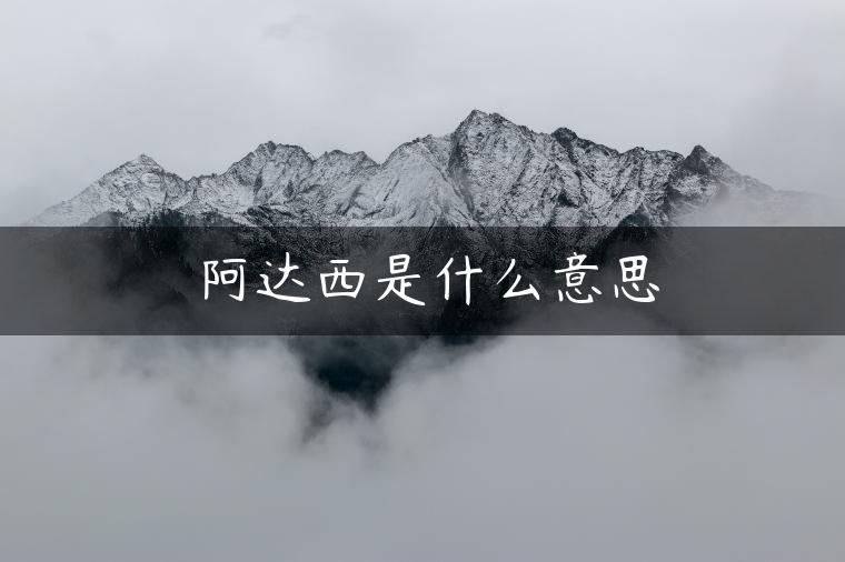 阿达西是什么意思