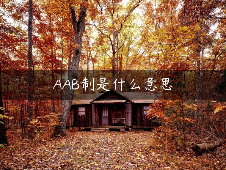 AAB制是什么意思