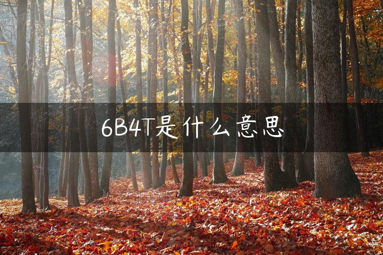 6B4T是什么意思