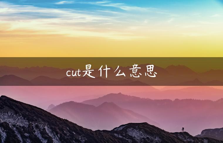 cut是什么意思