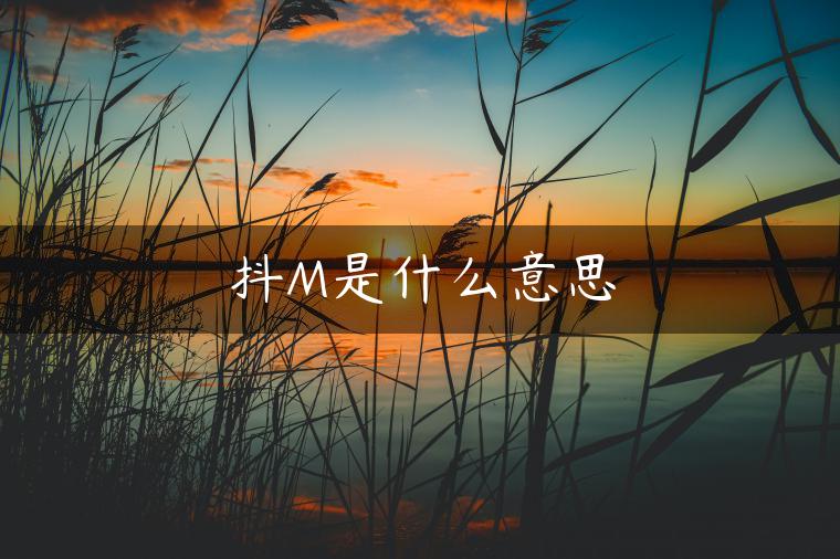 抖M是什么意思