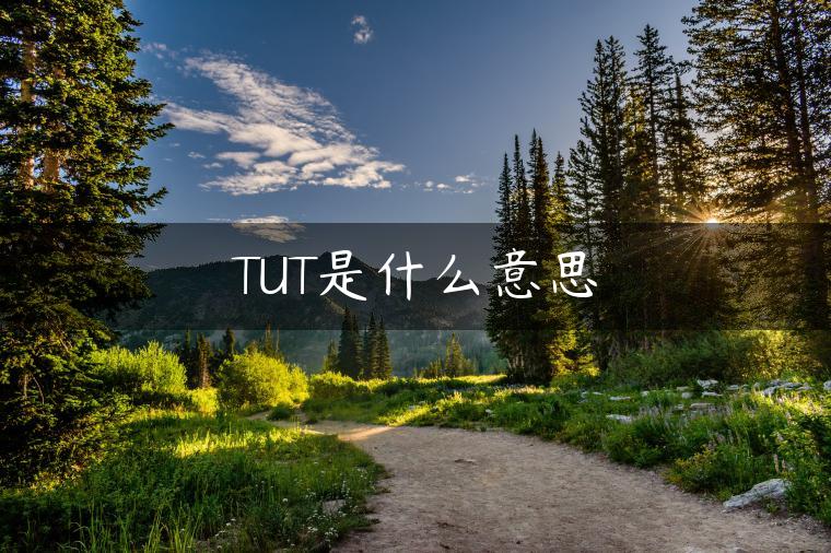 TUT是什么意思