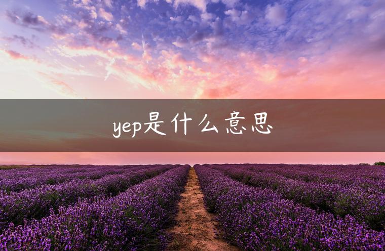 yep是什么意思