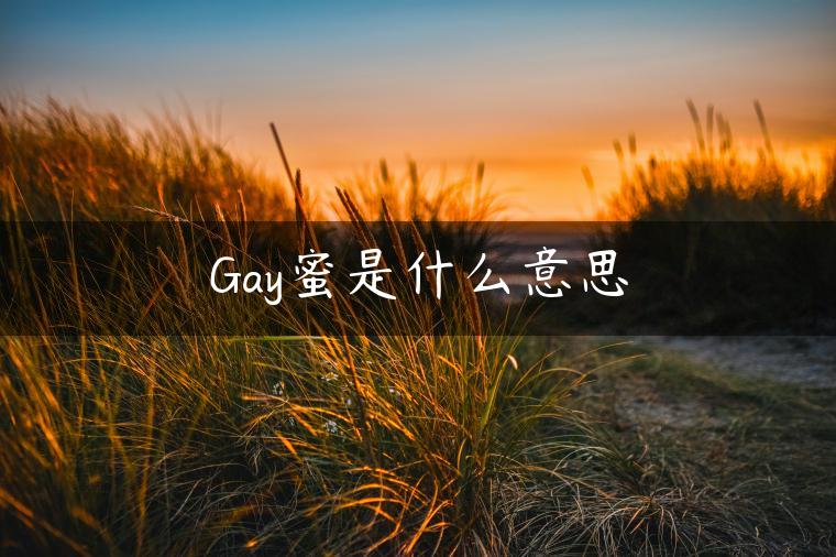 Gay蜜是什么意思