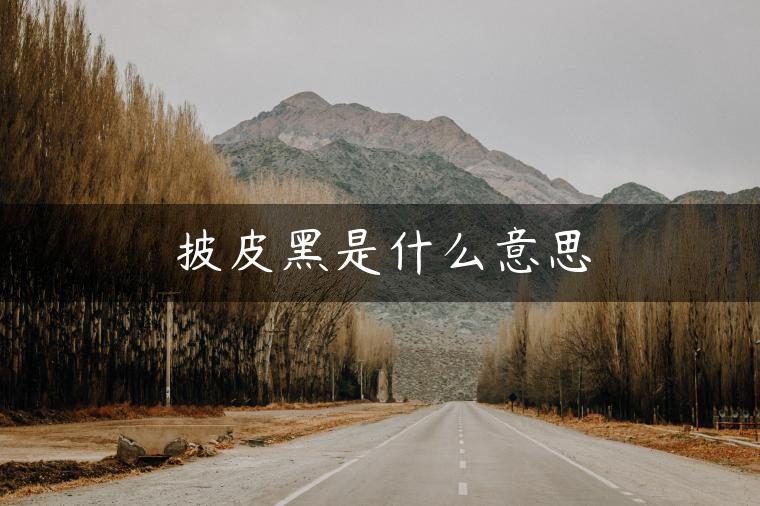 披皮黑是什么意思