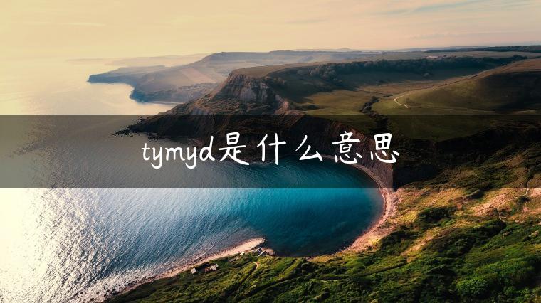 tymyd是什么意思