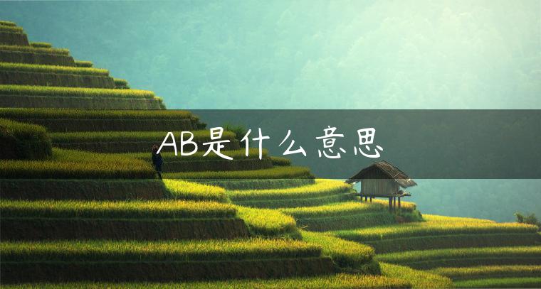 AB是什么意思