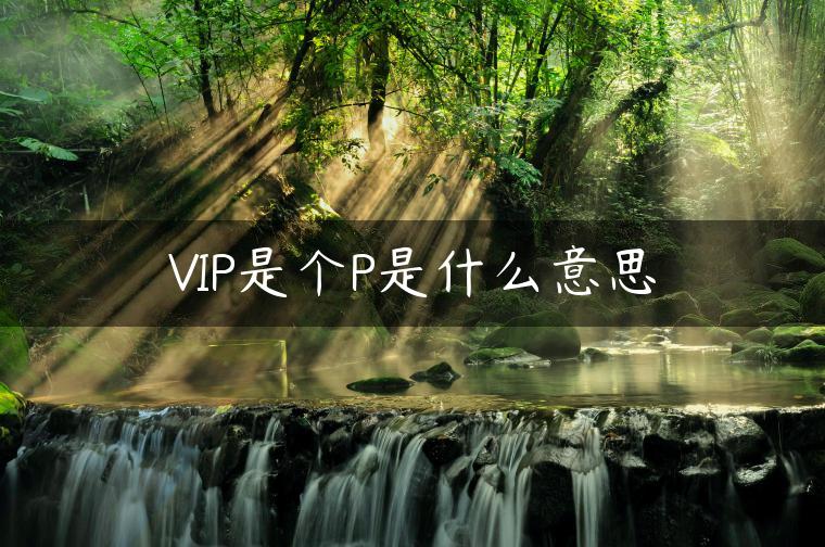 VIP是个P是什么意思