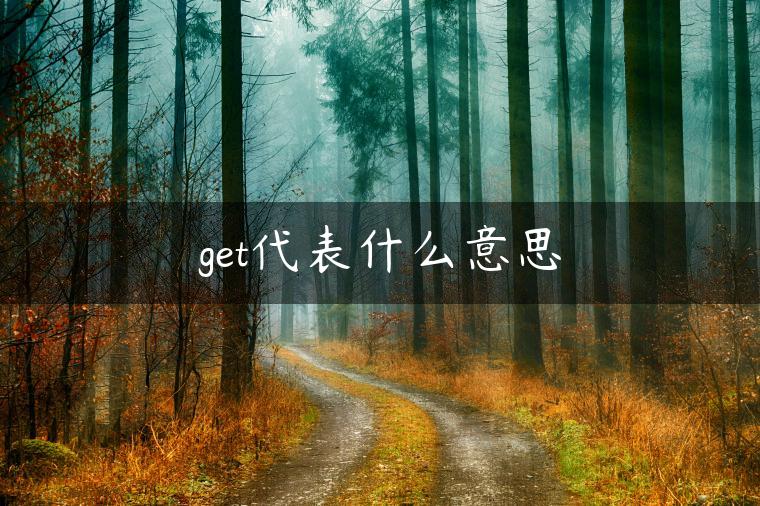 get代表什么意思