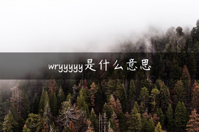 wryyyyy是什么意思