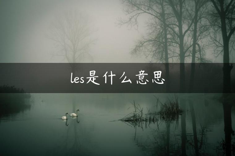 les是什么意思