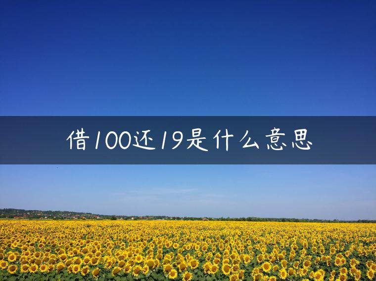 借100还19是什么意思