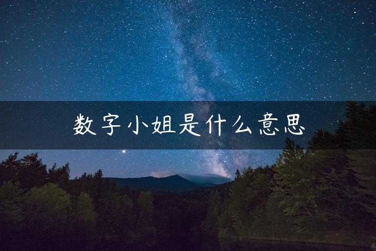 数字小姐是什么意思