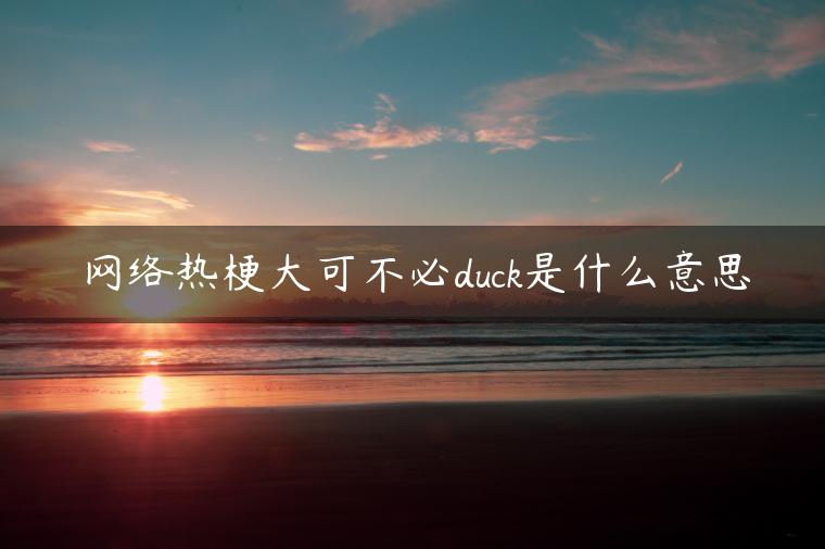 网络热梗大可不必duck是什么意思