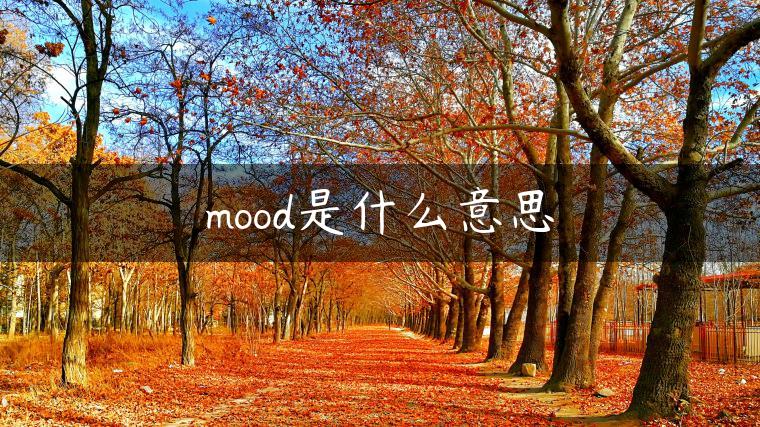 mood是什么意思