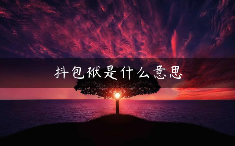 抖包袱是什么意思