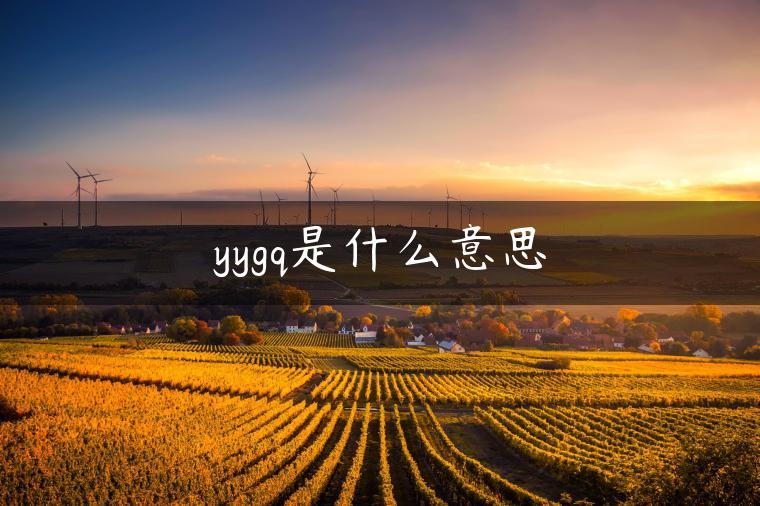 yygq是什么意思