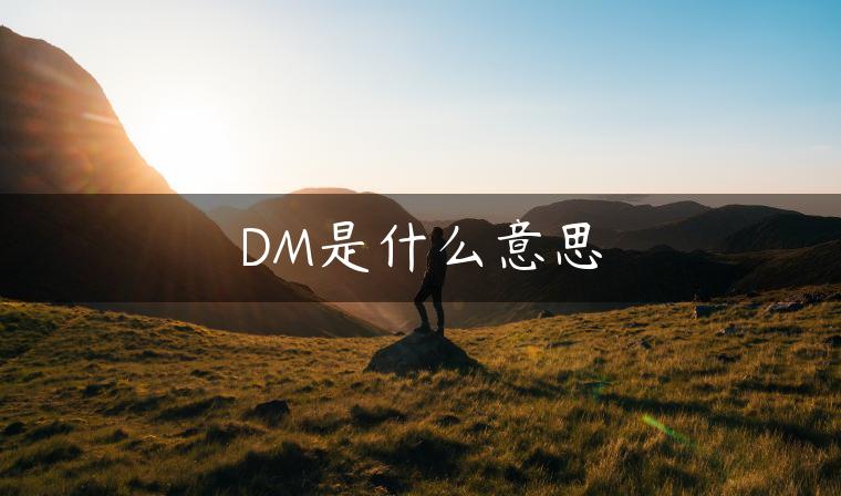 DM是什么意思