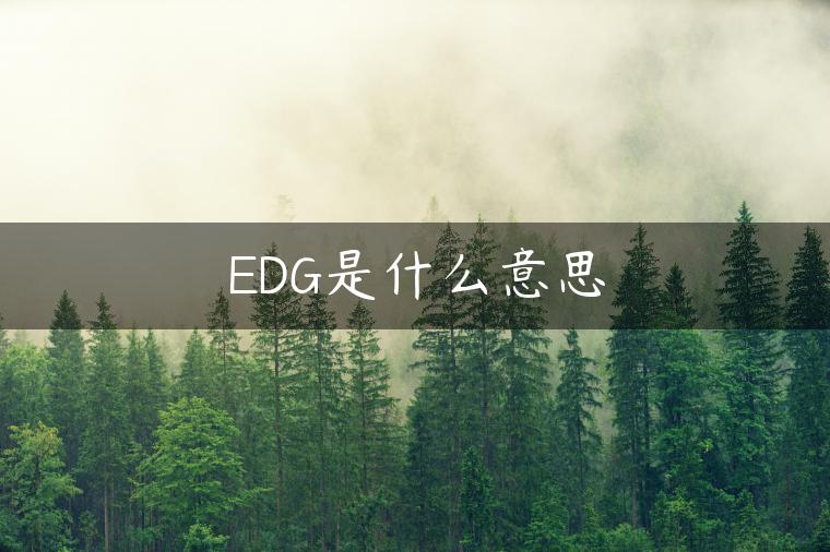 EDG是什么意思