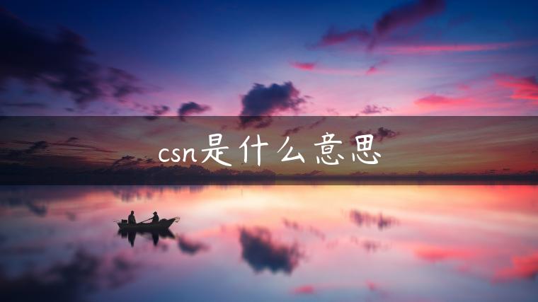 csn是什么意思