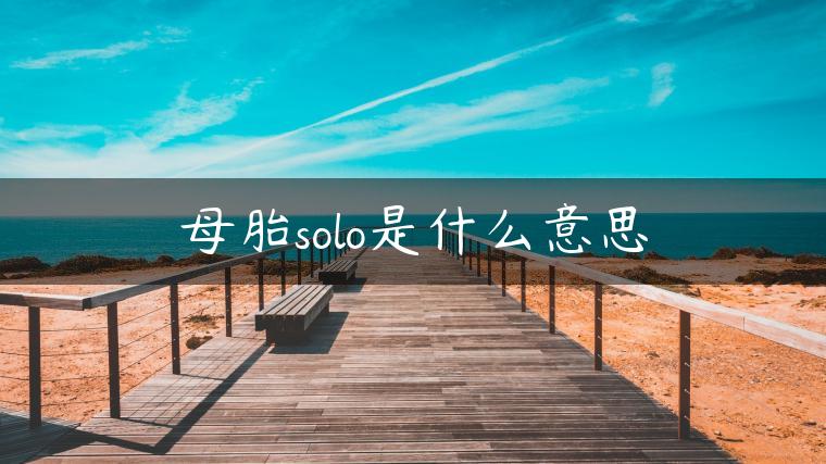 母胎solo是什么意思