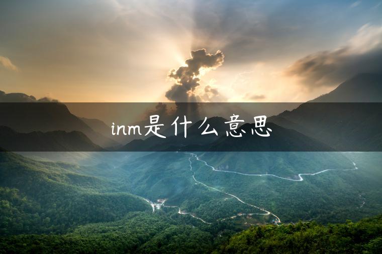 inm是什么意思