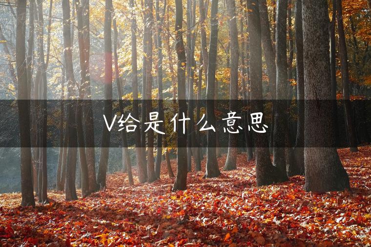 V给是什么意思