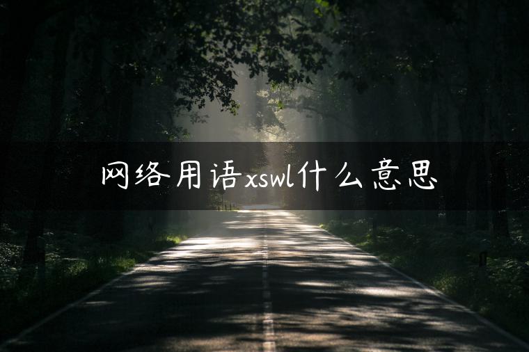 网络用语xswl什么意思