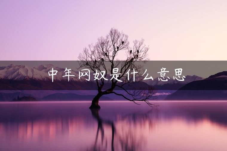 中年网奴是什么意思